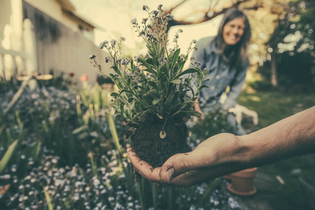 How To Properly Mulch Your Yard In Just A Few Simple Steps