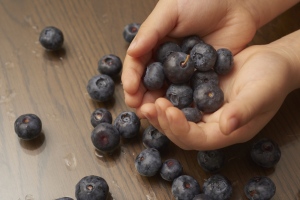 Health Benefits Of Blueberries