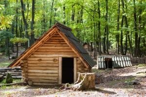 How To Have Authentic Log House Lifestyle